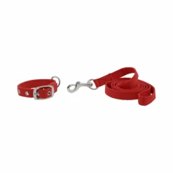Riding World - Collier et laisse pour chien Oscar Rouge New