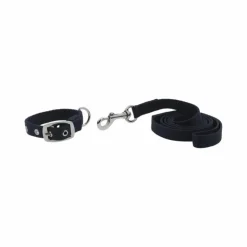 Online Riding World - Collier pour chien Oscar avec laisse Marine