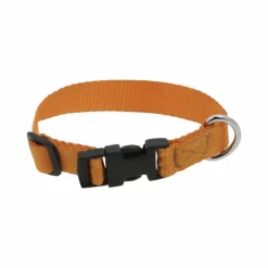 Sale Riding World - Collier pour chien Pat Orange