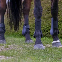 New Riding World - Guêtres protège-tendons x2 Marine