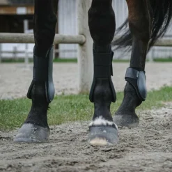 Online Riding World - Guêtres protège-tendons foncé x2 Vert