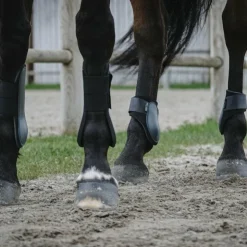 Riding World - Guêtres protège-tendons x2 Noir Hot