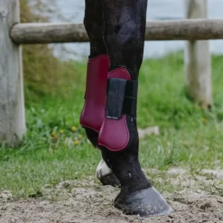 Riding World - Guêtres protège-tendons x2 Bordeaux