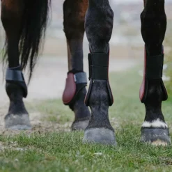 Riding World - Guêtres protège-tendons x2 Bordeaux