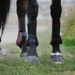 Riding World - Guêtres protège-tendons x2 Bordeaux