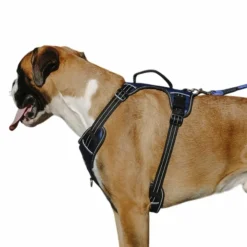 Discount Riding World - Harnais pour chien Simba Marine