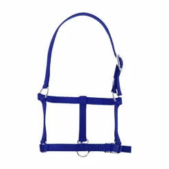 Best Riding World - Licol foal roi Bleu