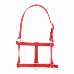 Best Riding World - Licol foal Rouge