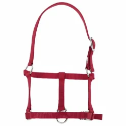 Online Riding World - Licol foal Bordeaux