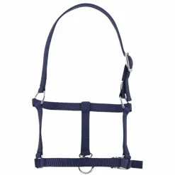 Best Riding World - Licol foal Marine