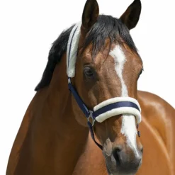 Outlet Riding World - Licol mouton synthétique Marine