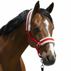 Sale Riding World - Licol mouton synthétique Rouge