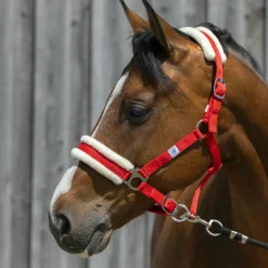 Sale Riding World - Licol mouton synthétique Rouge
