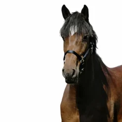 Outlet Riding World - Licol Nylon Cushion Marine