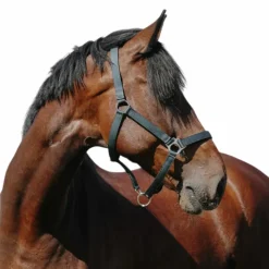 Online Riding World - Licol Nylon Cushion foncé Vert