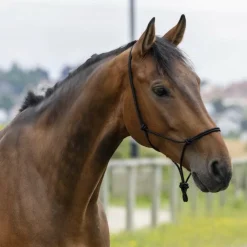 Riding World - Licol éthologique corde fin Noir New