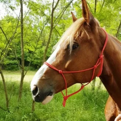 Hot Riding World - Licol éthologique corde fin Rouge