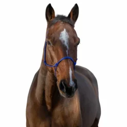 New Riding World - Licol éthologique corde fin roi Bleu