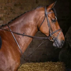 Outlet Riding World - Martingale à anneaux Havane