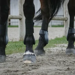 New Riding World - Protège-boulets foncé Vert