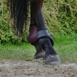 New Riding World - Protège-boulets Bordeaux