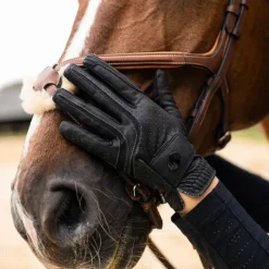 Samshield - Gants V-Skin blazon / brillant Noir Discount