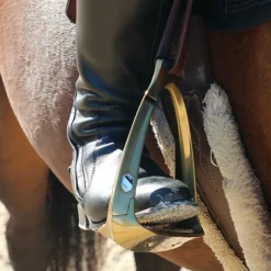 New Samshield - Étriers Shield'rup champagne brossé Doré