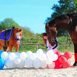 Stübben - Collier de chasse ébène argent Marron Hot