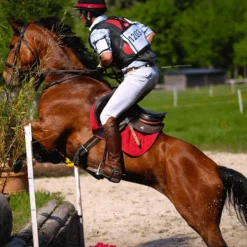 Outlet Tacante - Tapis de selle Excel-Anse mixte Rouge