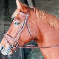 TdeT -  Bridon avec rênes Sisley muserolle combinée tabac Outlet