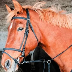 Online TdeT - Bridon Biotack® noir