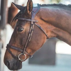 Clearance TdeT - Bridon Chagall foncé Havane