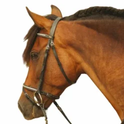 Outlet TdeT - Bridon et rênes Clincher Goya noir