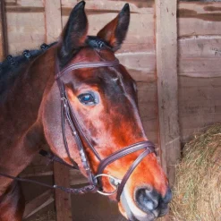 Clearance TdeT - Bridon et rênes Kessel muserolle combinée havane foncé