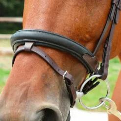 Sale TdeT - Bridon et rênes Lautrec havane foncé/noir