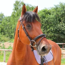 Sale TdeT - Bridon et rênes Lautrec havane foncé/noir