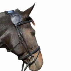 TdeT - Bridon et rênes Vargas noir New