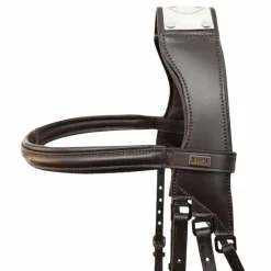 TdeT - Bridon Raphael Noir Hot