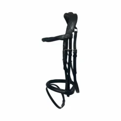 TdeT - Bridon Velazquez / Noir Online