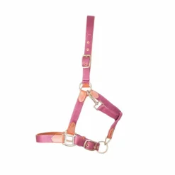 Discount TdeT - Licol en cuir et sangle bordeaux