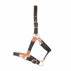 TdeT - Licol en cuir et sangle noir