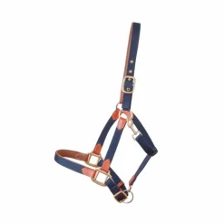 Outlet TdeT - Licol en cuir et sangle marine