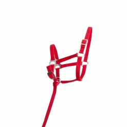 TdeT - Licol foal synthétique rouge Discount