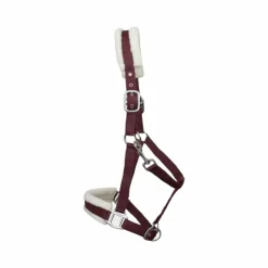 TdeT - Licol nylon et mouton Bordeaux Sale