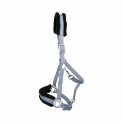 TdeT - Licol nylon et mouton Gris Best