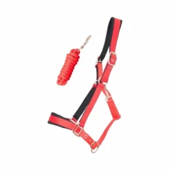 TdeT - Licol Satiné Doublé longe ronde assortie rouge Sale