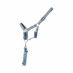 Sale TdeT - Licol synthétique doublé + longe tressée marine/ ciel Bleu