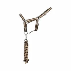 Sale TdeT - Licol synthétique doublé + longe tressée foncé/ beige Marron