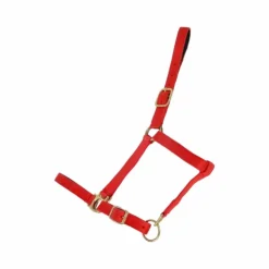 TdeT - Licol synthétique doublé suédine Rouge New