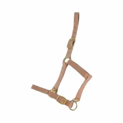 Outlet TdeT - Licol synthétique doublé suédine Beige